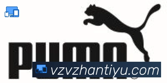 V站体育合作伙伴